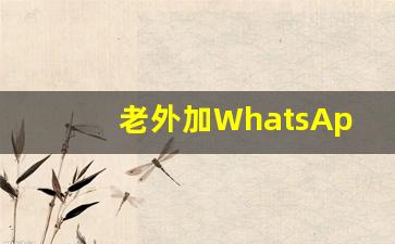 老外加WhatsApp 格式